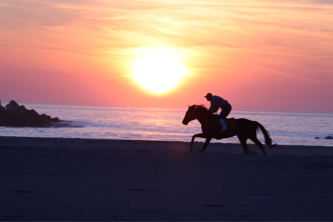 浜辺を走る馬 相馬野馬追い練習風景_c0229025_06131743.jpg