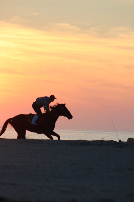 浜辺を走る馬 相馬野馬追い練習風景_c0229025_06131830.jpg