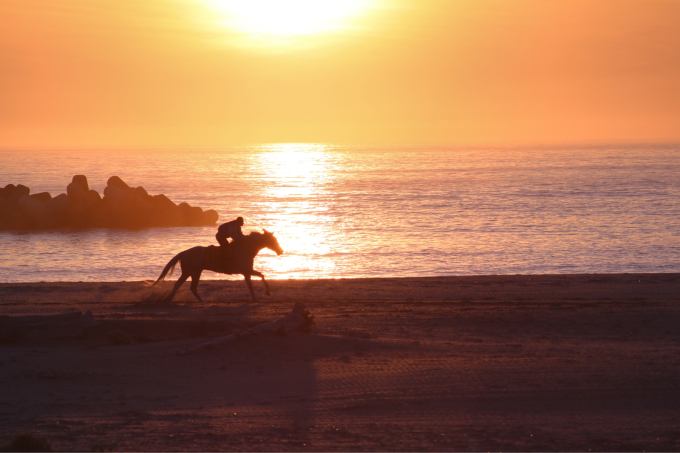浜辺を走る馬 相馬野馬追い練習風景_c0229025_06132025.jpg