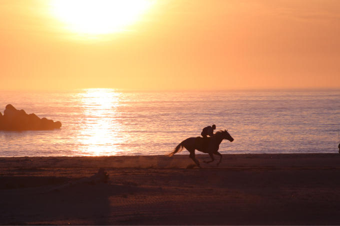 浜辺を走る馬 相馬野馬追い練習風景_c0229025_06132167.jpg
