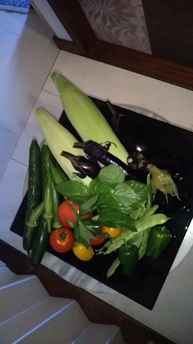 老育　養生訓_c0155326_14363331.jpg