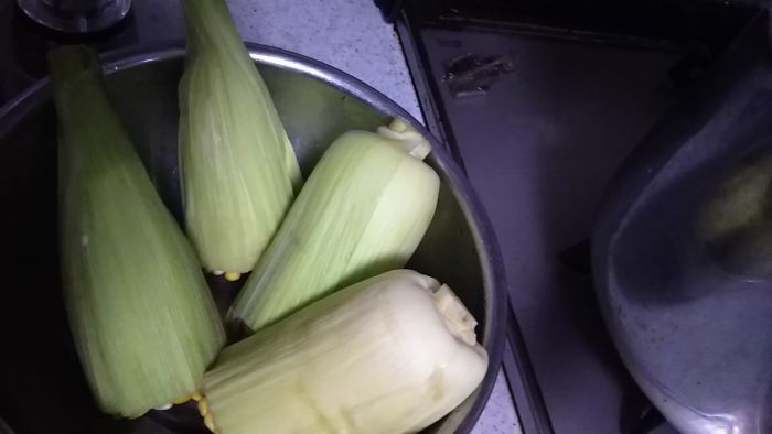 老育　養生訓_c0155326_15223923.jpg