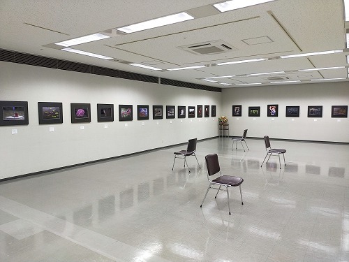 写光会 写真展_f0106664_07341785.jpg