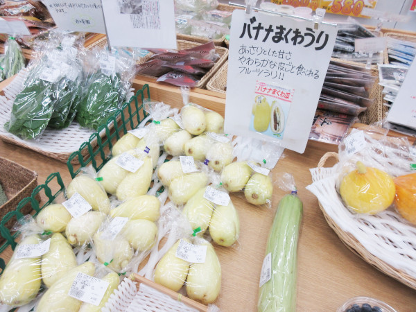 バナナまくわうり_c0152767_08193880.jpg