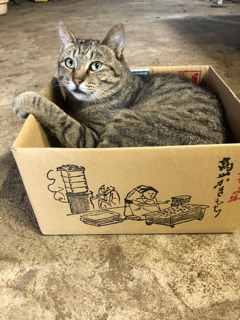 またまたハプニング_f0363168_22140210.png