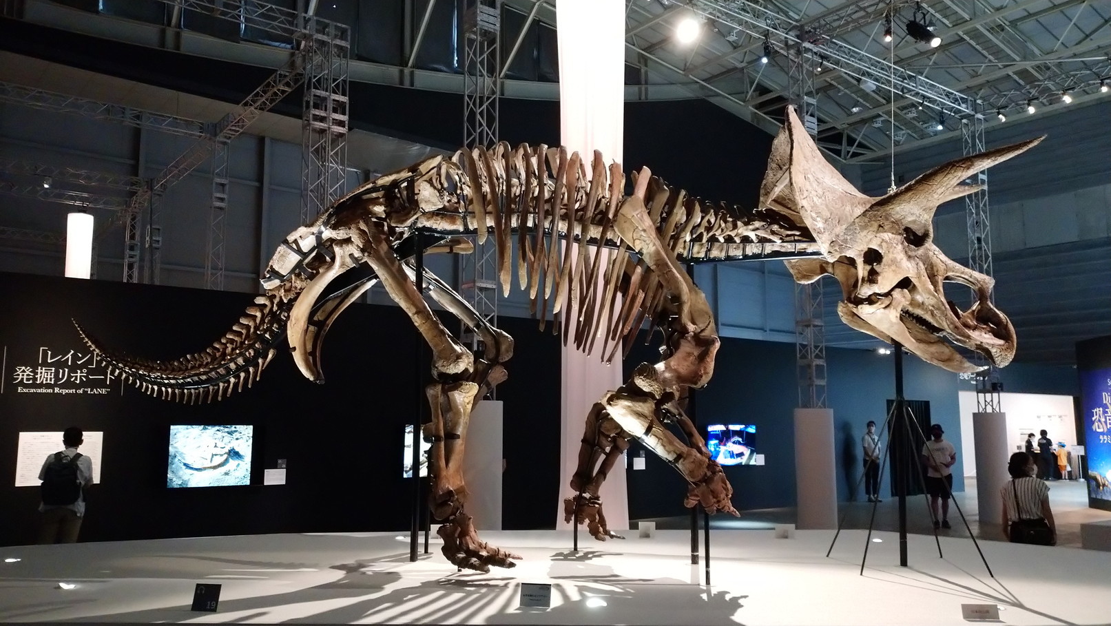 トリケラトプス「レイン」のほぼ完全な全身骨格化石をDinoScience 恐竜科学博 ～ララミディア大陸の恐竜物語～@パシフィコ横浜でみた！_c0002171_00295260.jpg