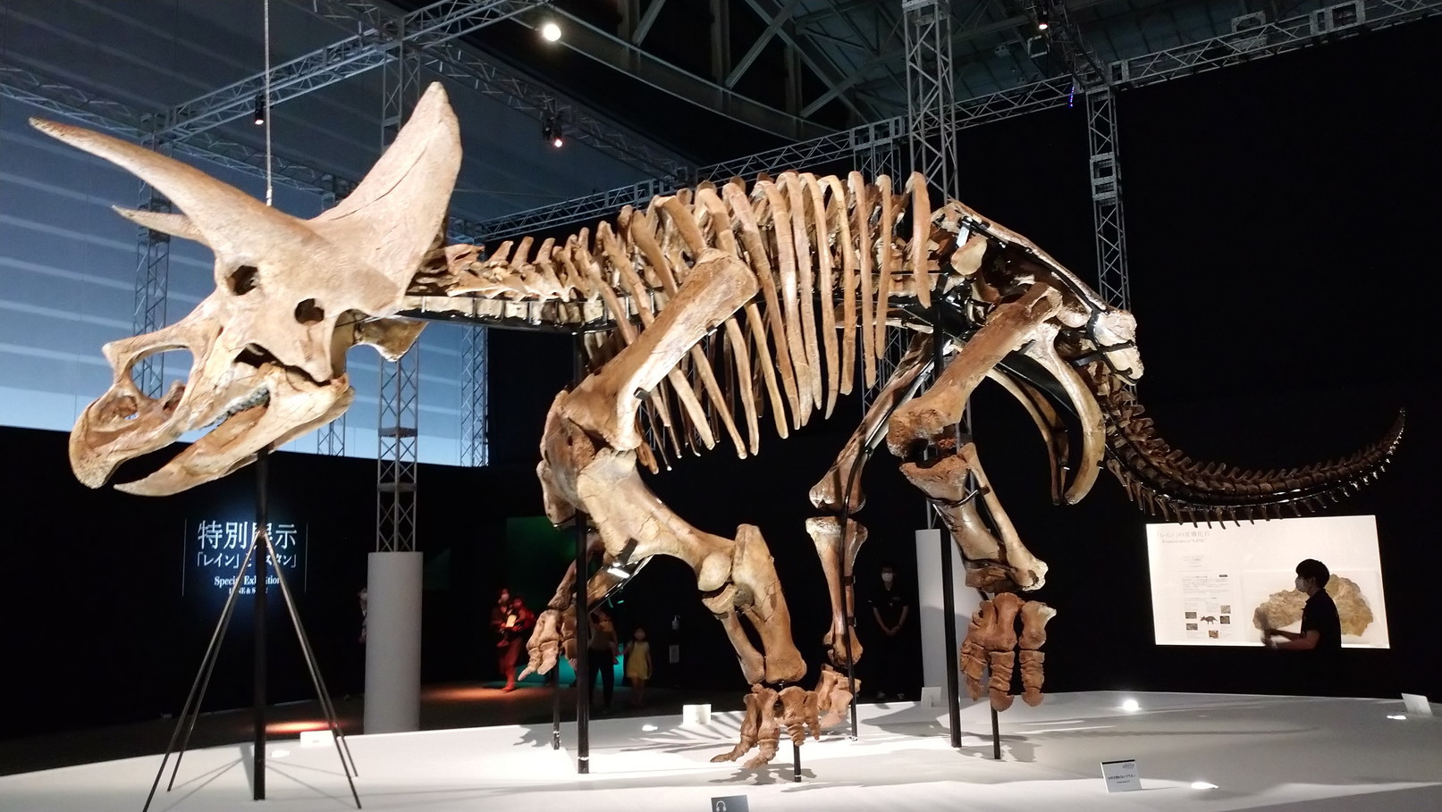 トリケラトプス「レイン」のほぼ完全な全身骨格化石をDinoScience 恐竜科学博 ～ララミディア大陸の恐竜物語～@パシフィコ横浜でみた！_c0002171_00314741.jpg