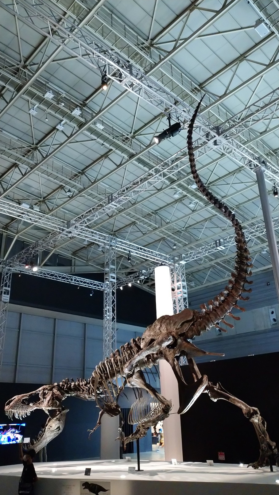 トリケラトプス「レイン」のほぼ完全な全身骨格化石をDinoScience 恐竜科学博 ～ララミディア大陸の恐竜物語～@パシフィコ横浜でみた！_c0002171_00373275.jpg