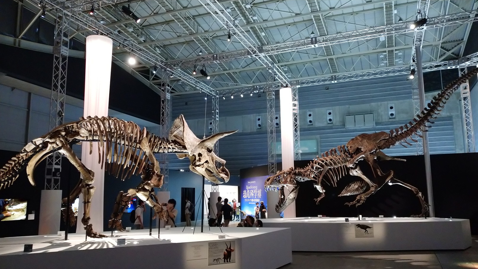 トリケラトプス「レイン」のほぼ完全な全身骨格化石をDinoScience 恐竜科学博 ～ララミディア大陸の恐竜物語～@パシフィコ横浜でみた！_c0002171_00395139.jpg