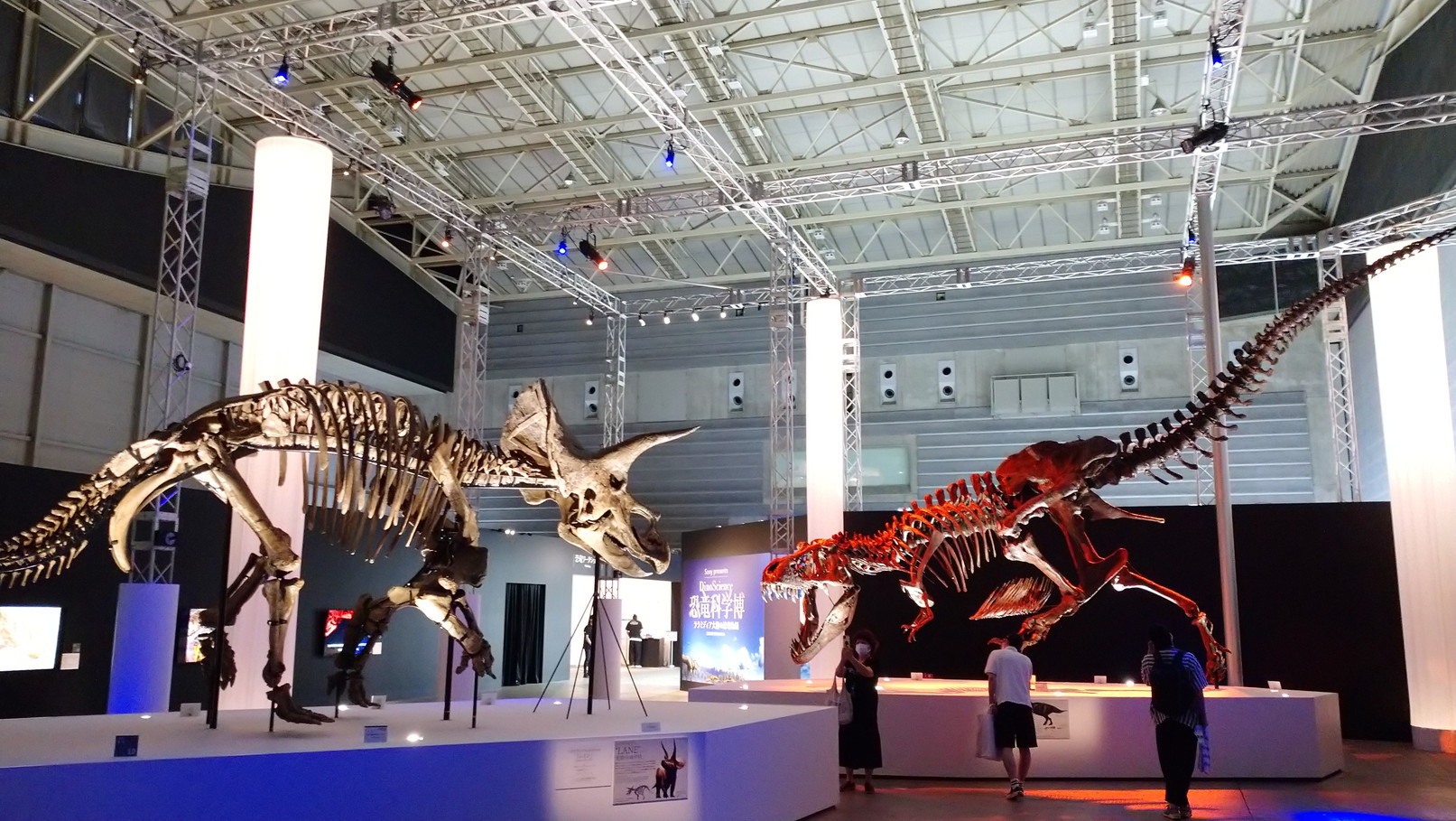 トリケラトプス「レイン」のほぼ完全な全身骨格化石をDinoScience 恐竜科学博 ～ララミディア大陸の恐竜物語～@パシフィコ横浜でみた！_c0002171_00451482.jpg