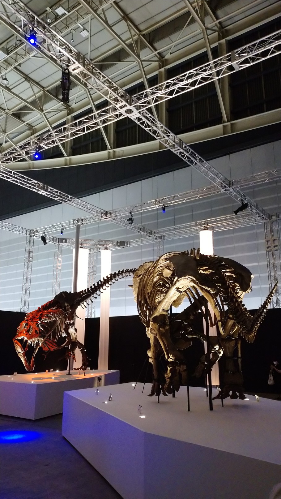 トリケラトプス「レイン」のほぼ完全な全身骨格化石をDinoScience 恐竜科学博 ～ララミディア大陸の恐竜物語～@パシフィコ横浜でみた！_c0002171_00480270.jpg