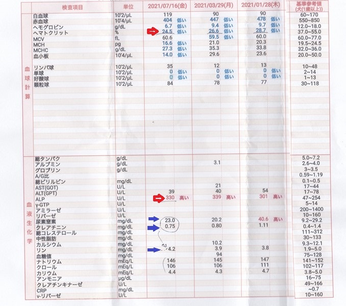 21年7月 血液検査の結果 秋田犬 大和と飛鳥丸 の日々 21年7月 血液検査の結果 秋田犬 大和と飛鳥丸 の日々