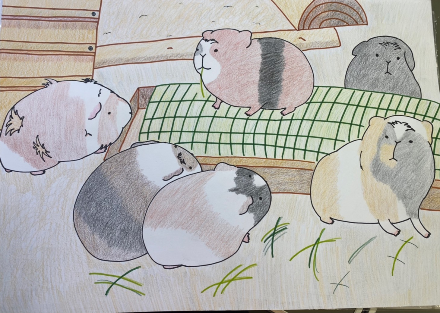 サファリな連中 サファリな連中