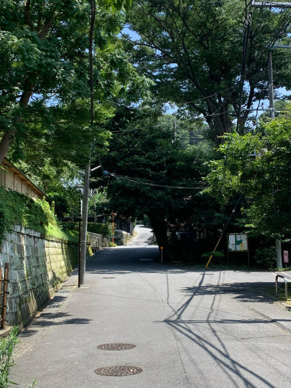 Iza Kamakura_b0223512_21420659.jpg