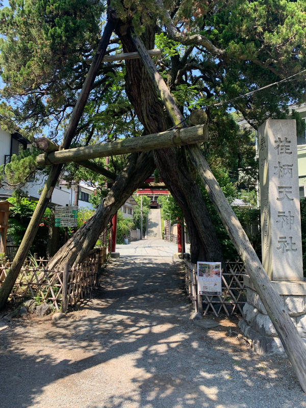 Iza Kamakura_b0223512_21421325.jpg