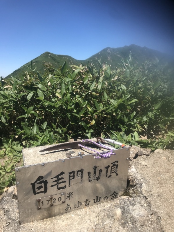 oolontea 長崎県壱岐のフェリーターミナル3港は島土産が揃う海の玄関！ | ORICON NEWS
