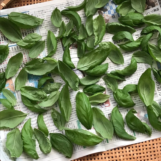 乾燥バジル せらぼらぼ