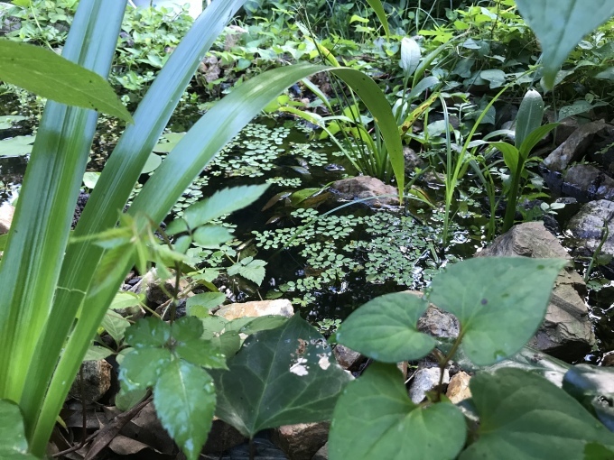 目が離せない世の中の動き_d0101846_06195928.jpeg