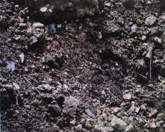 ７月３日に発生した熱海･伊豆山地区での土石流（３）_f0197754_00050781.jpg