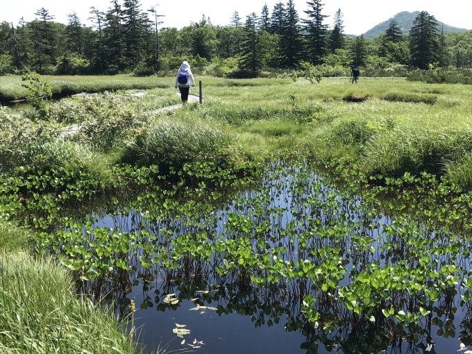 やっぱり広いわ北海道。そして美味しいズッシリハンバーガー_b0100062_06372821.jpeg