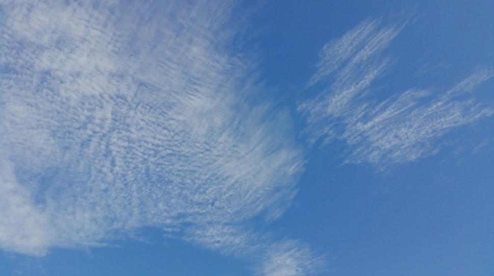寿都浜中野営場 24日目_c0212083_22214480.jpg