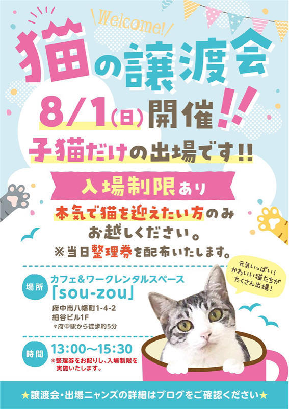 ★8/1出場にゃんず★去勢済みの子猫　キジトラ♂黒白ハチワレ♂_c0405294_17272754.jpg