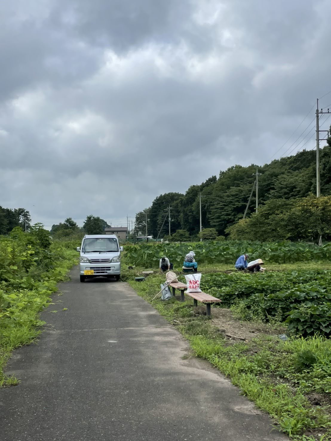 いつもとは違う雰囲気のここ「自然ふれあい園大久保」を散歩_e0142205_16253557.jpg