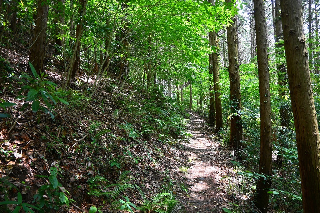 今日はゆっくり撮影登山_f0174419_20272594.jpg