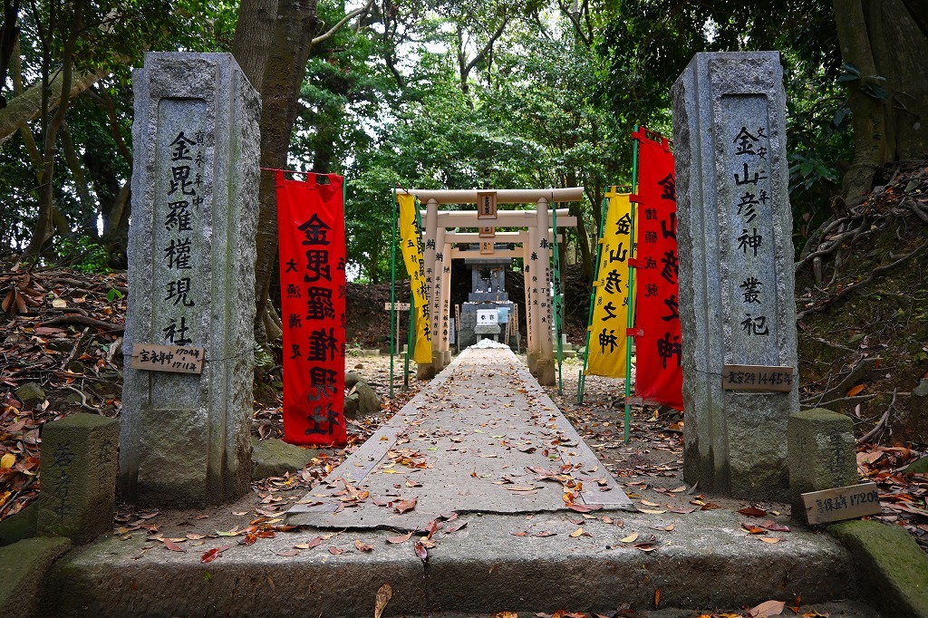 今日はゆっくり撮影登山_f0174419_20314122.jpg