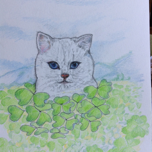 猫スケッチ練習帳 青い瞳のふわふわ メインクーンと一緒 デナちな日々
