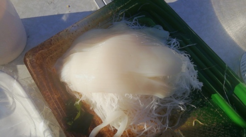 寿都浜中野営場 25日目_c0212083_19053269.jpg