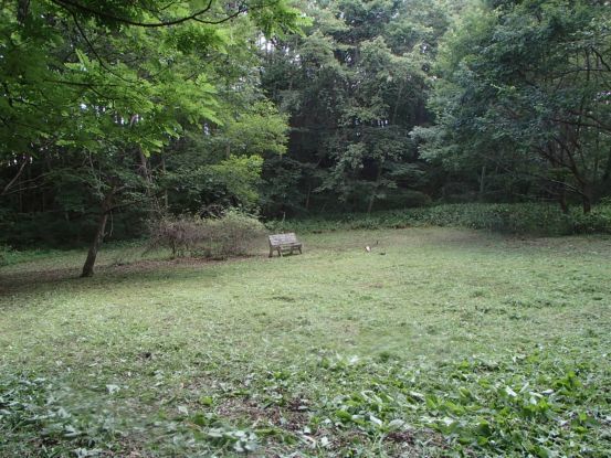 草刈り_f0064906_06291446.jpg
