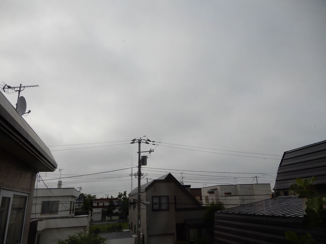 記録上は真夏日が戻ってきましたが涼しく感じる一日でした_c0025115_21523645.jpg
