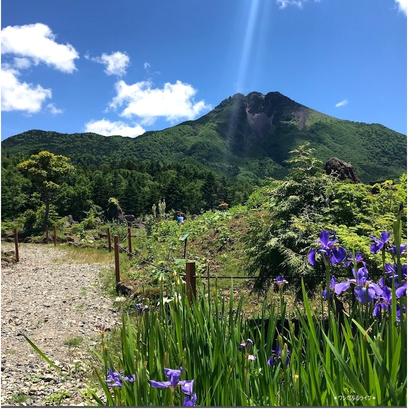 * 涼を求めてフランと丸沼高原へ *_d0317115_20000164.jpg