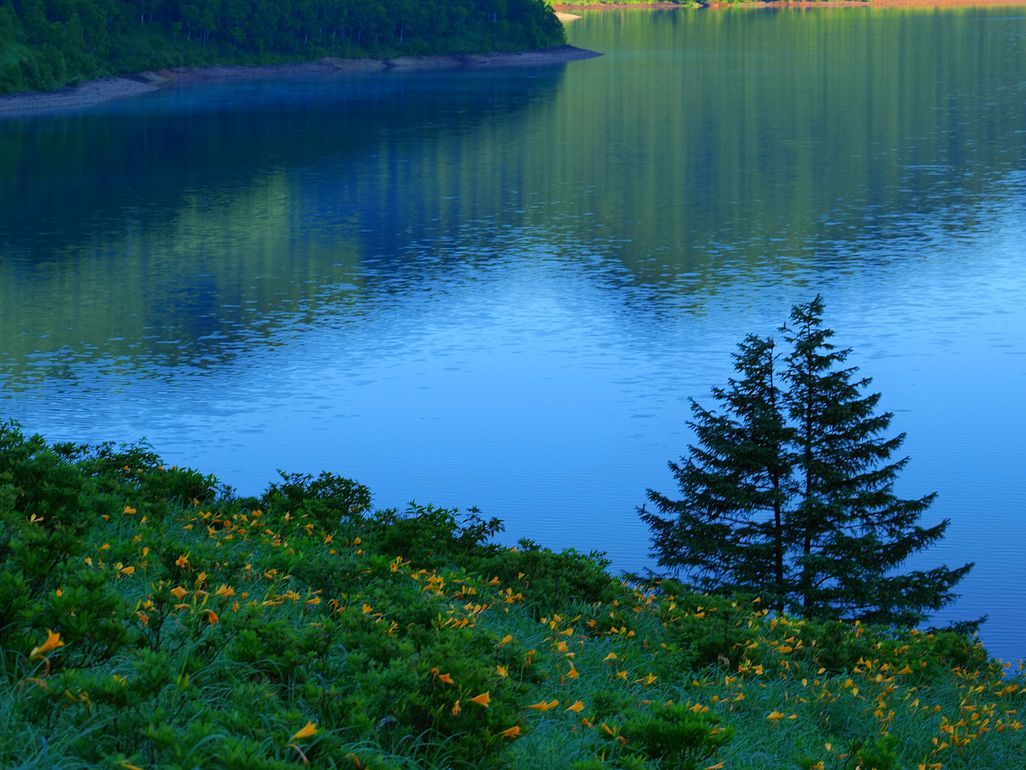 野反湖絶景アラカルト（２）・・・水と緑と浅間山も_a0031821_21050642.jpg