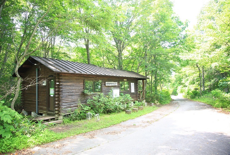 玉原湿原・・・（４５９３）_e0349324_08580453.jpg