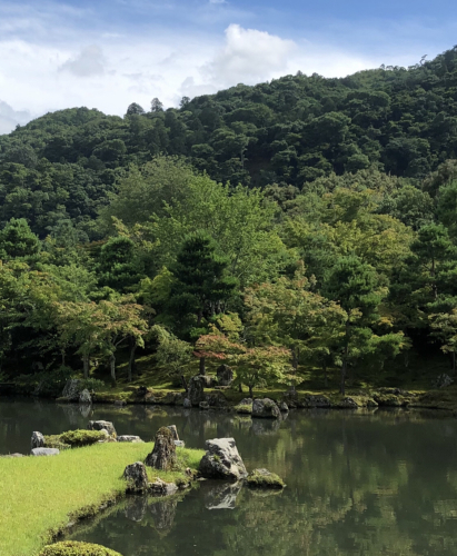 夏の天龍寺のお庭_a0197730_08555244.jpeg