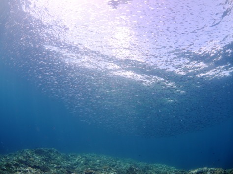 夏期限定の絶景☆_a0189838_10581795.jpg