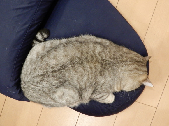 初!_c0259945_21273611.jpg