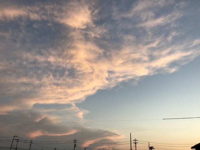 草スケッチ_d0101846_05443885.jpeg