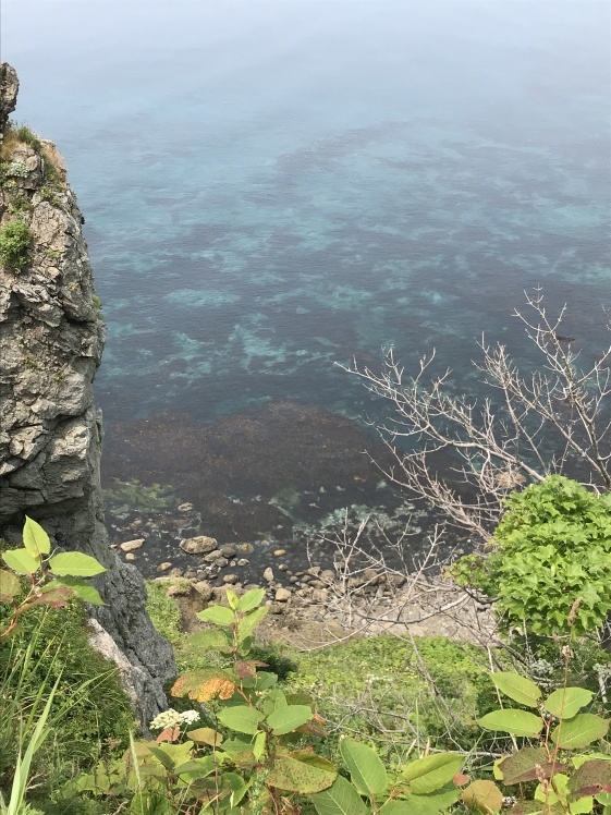 礼文島 2_b0034072_16522211.jpg
