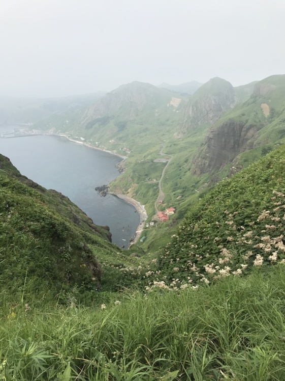 礼文島 2_b0034072_17045723.jpg