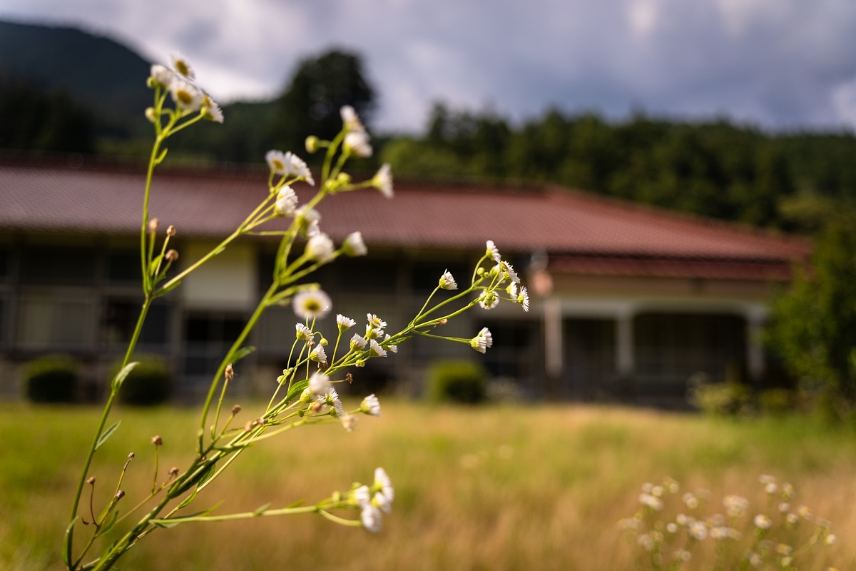 廃校慕情#28 - 月小学校(再訪)_d0353489_22313676.jpg