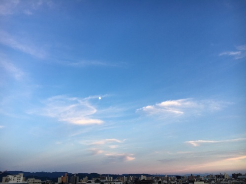 明日から4連休_f0347891_19200759.jpeg