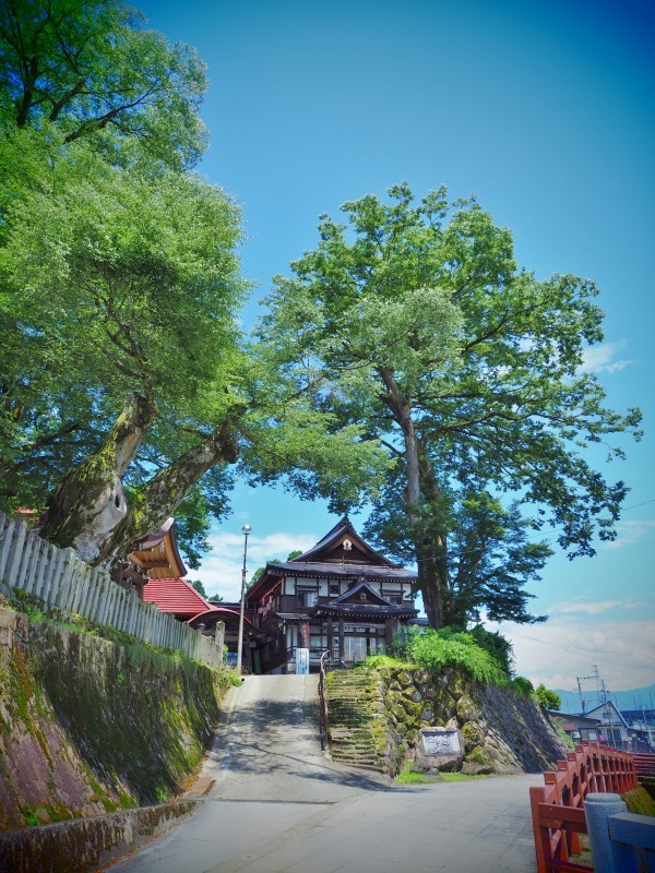 いつもと異なる境内写真を撮ってみました！_c0336902_19531319.jpg