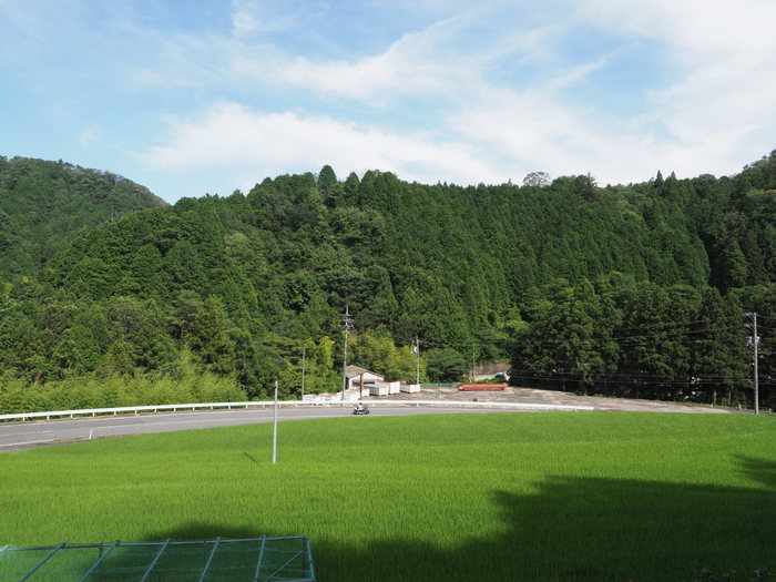今日も晴れた_c0116915_23345131.jpg