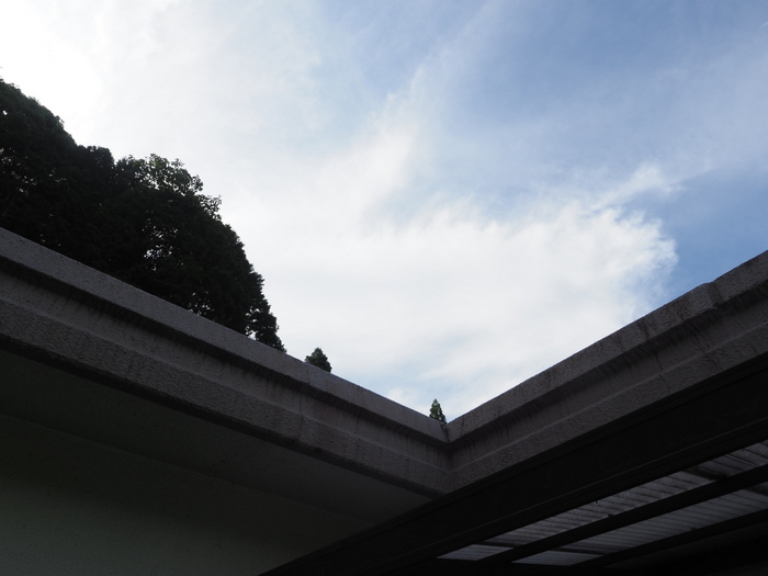 今日も晴れた_c0116915_23352177.jpg
