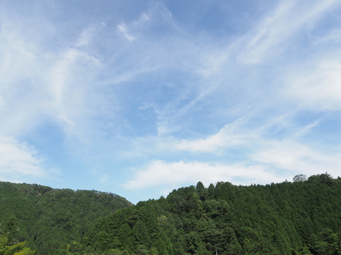 今日も晴れた_c0116915_23353550.jpg
