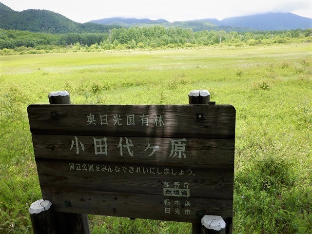 日光　奥日光散策　小田代原の貴婦人と戦場ヶ原を流れる湯川　　　　　Odashirogahara & Senjōgahara in Nikkō National Park_f0308721_02321401.jpg