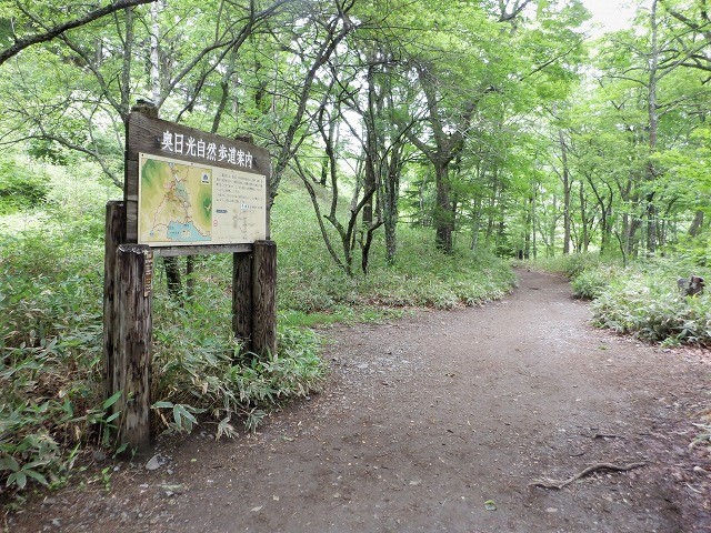 日光　奥日光散策　小田代原の貴婦人と戦場ヶ原を流れる湯川　　　　　Odashirogahara & Senjōgahara in Nikkō National Park_f0308721_02365756.jpg